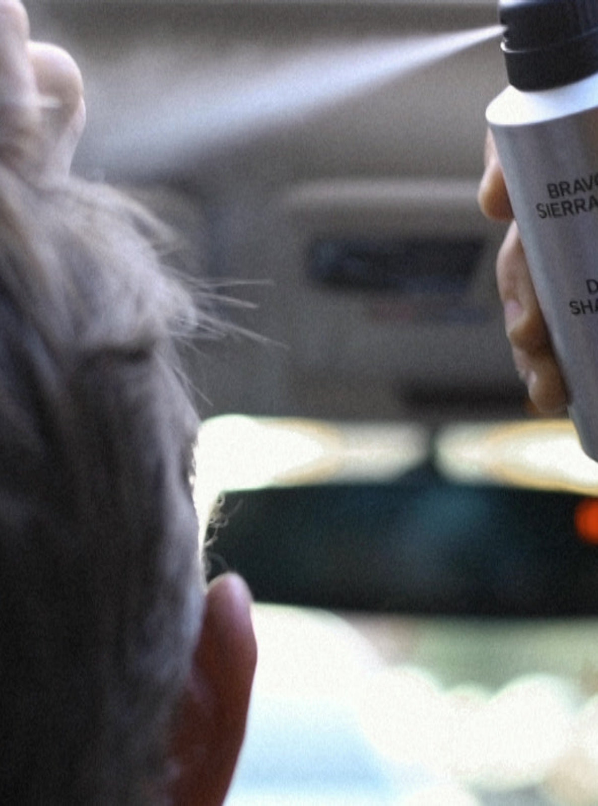 Person using a bottle of dry shampoo inside a car.