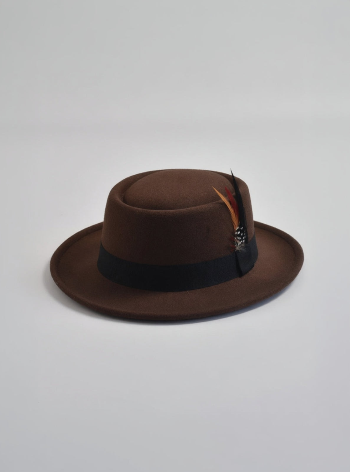 Brown fedora hat with a black band and feather on a light gray background