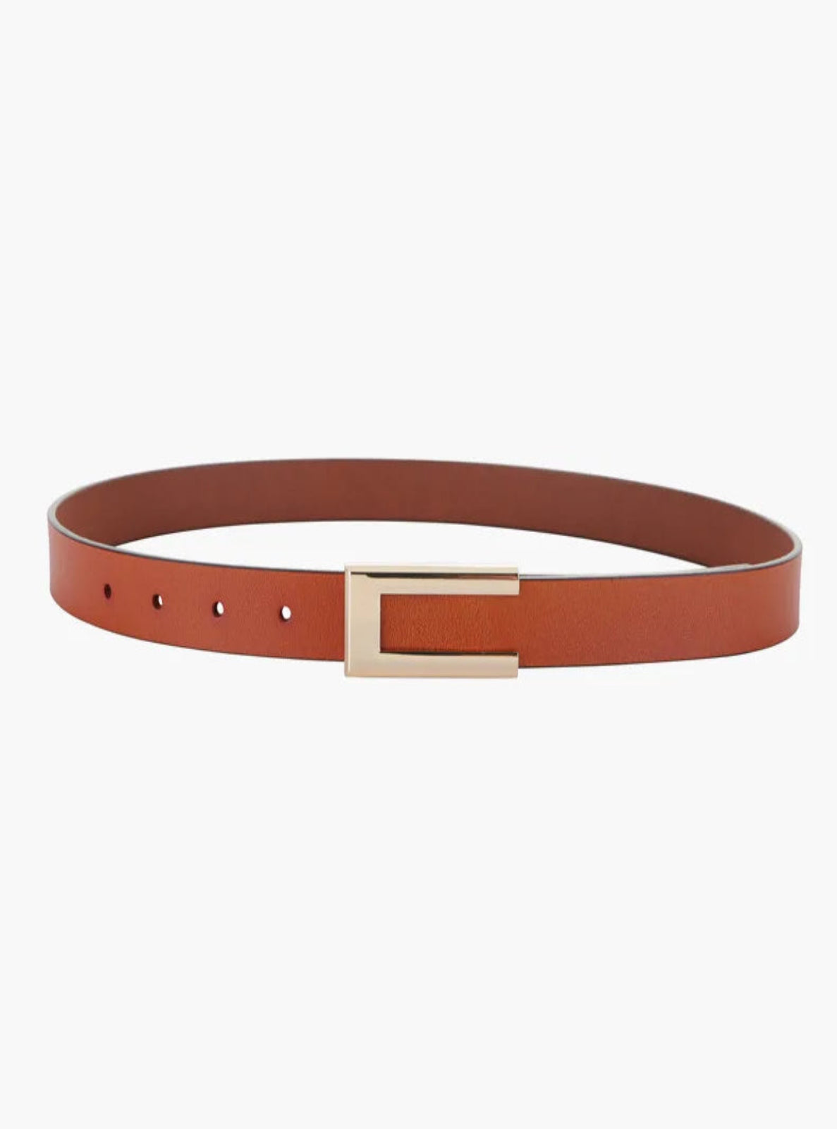 Bronze belt with a gold buckle on a white background